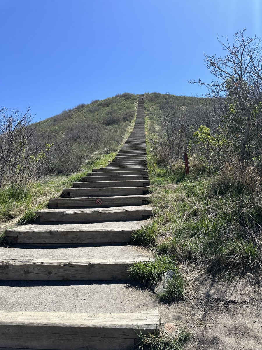 Was running up and down this incline today, multiple times, until my foot almost connected directly with the head of a rattle snake. I’m also deathly afraid of snakes, btw. Will not be coming back here 😂