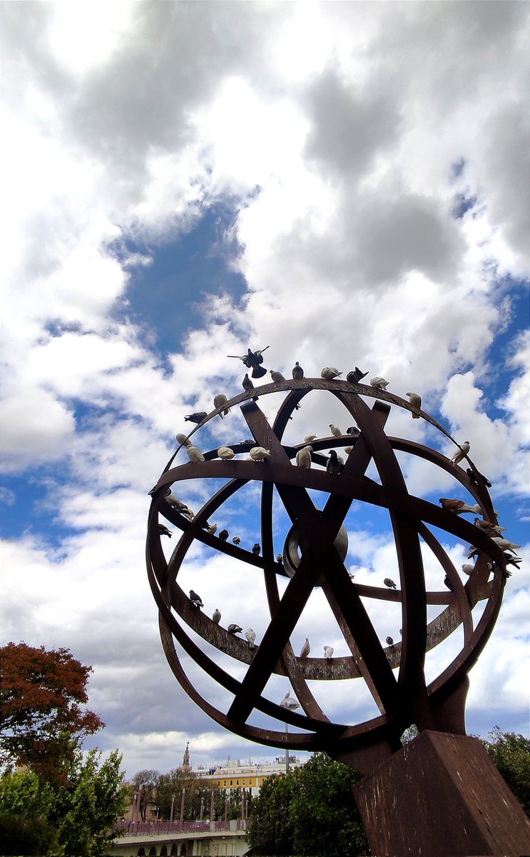 Observatorio de palomas .

#SevillaHoy