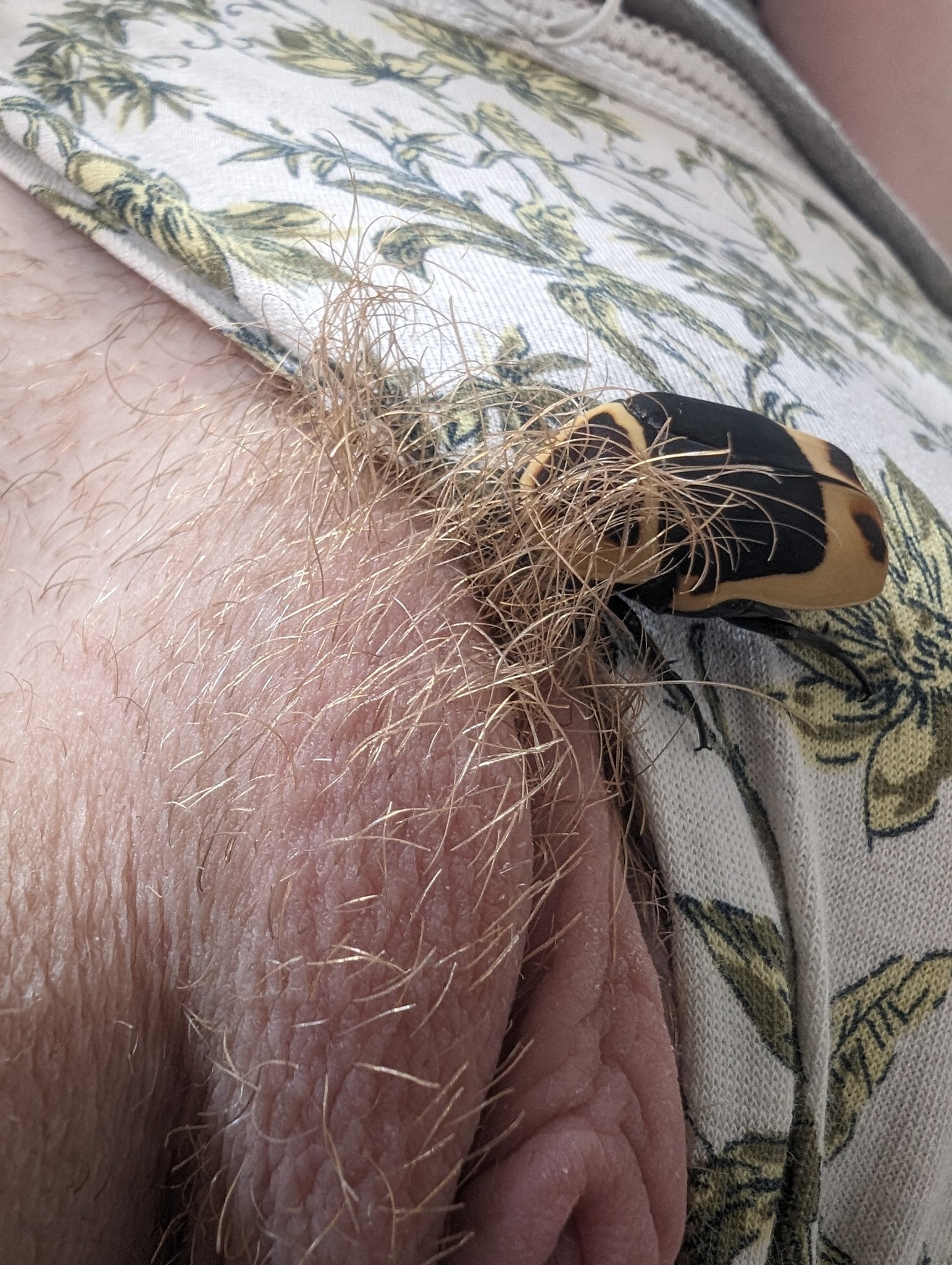 Petite partie de cache cache avec mon nouvel ami 😛 J'ai bientôt fini de compter jusqu'à 10, j'arrive ... https://t.co/PEaSY1HUFC