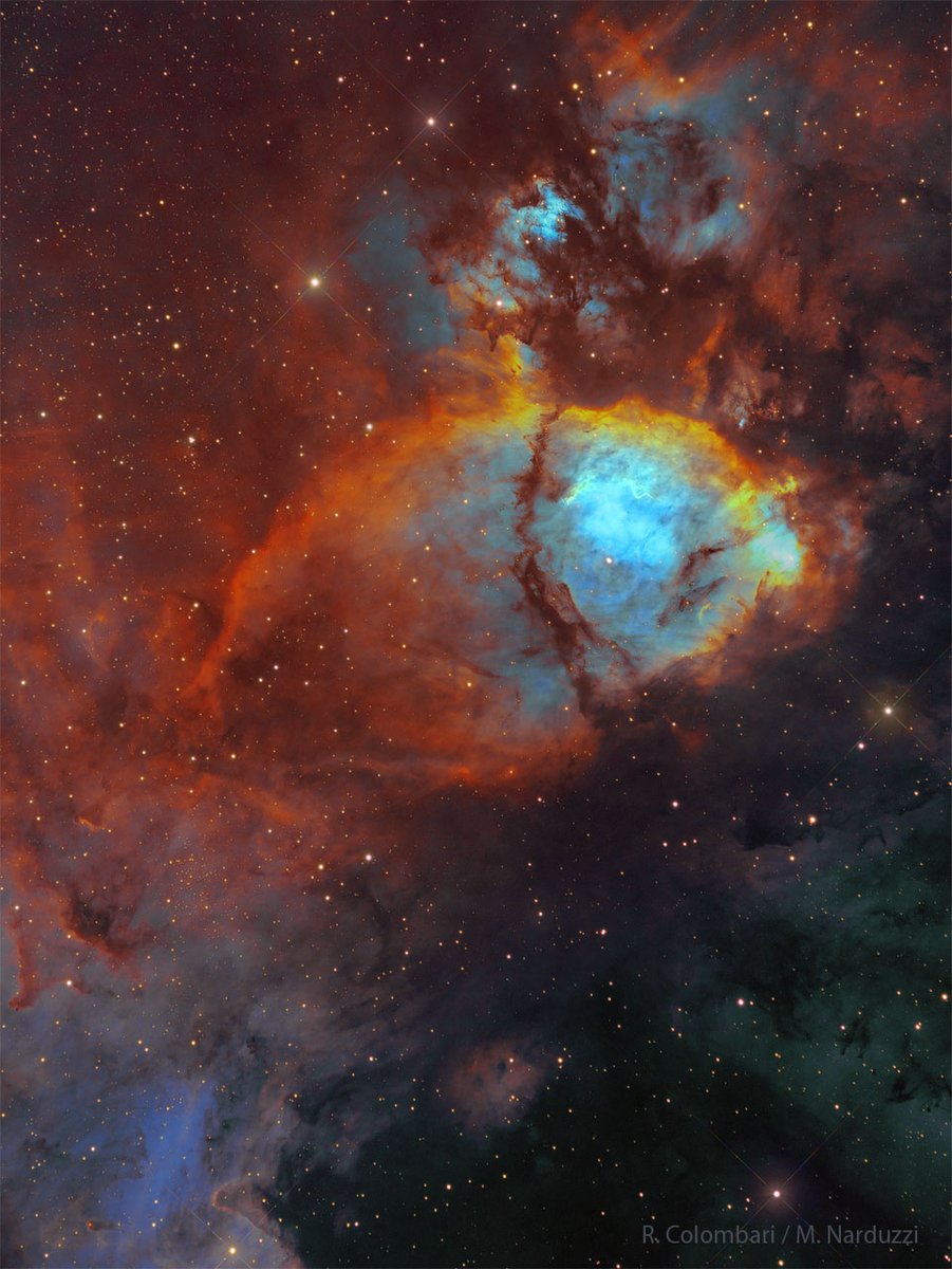 To some, this nebula looks like the head of a fish. However, this colorful cosmic portrait really features glowing gas and obscuring dust clouds in IC 1795, a star forming region in the northern constellation Cassiopeia. The nebula's colors were created by adopting the Hubble