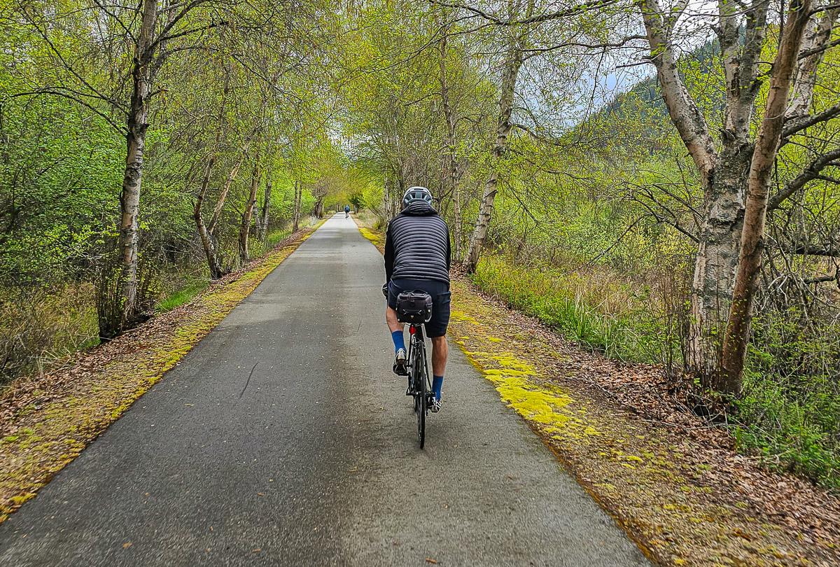 Leigh McAdam tweet media