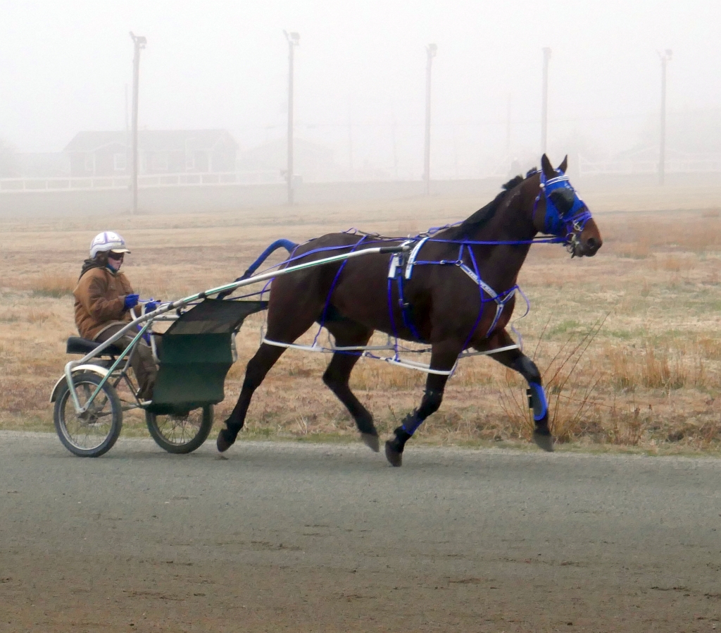 Inverness Racetrack this evening.