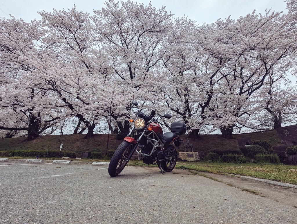 ほう、こんなタグがあるのね
のっかっておこうww

#毎月2日は二気筒の日
#VTR250 #VTR #HONDA