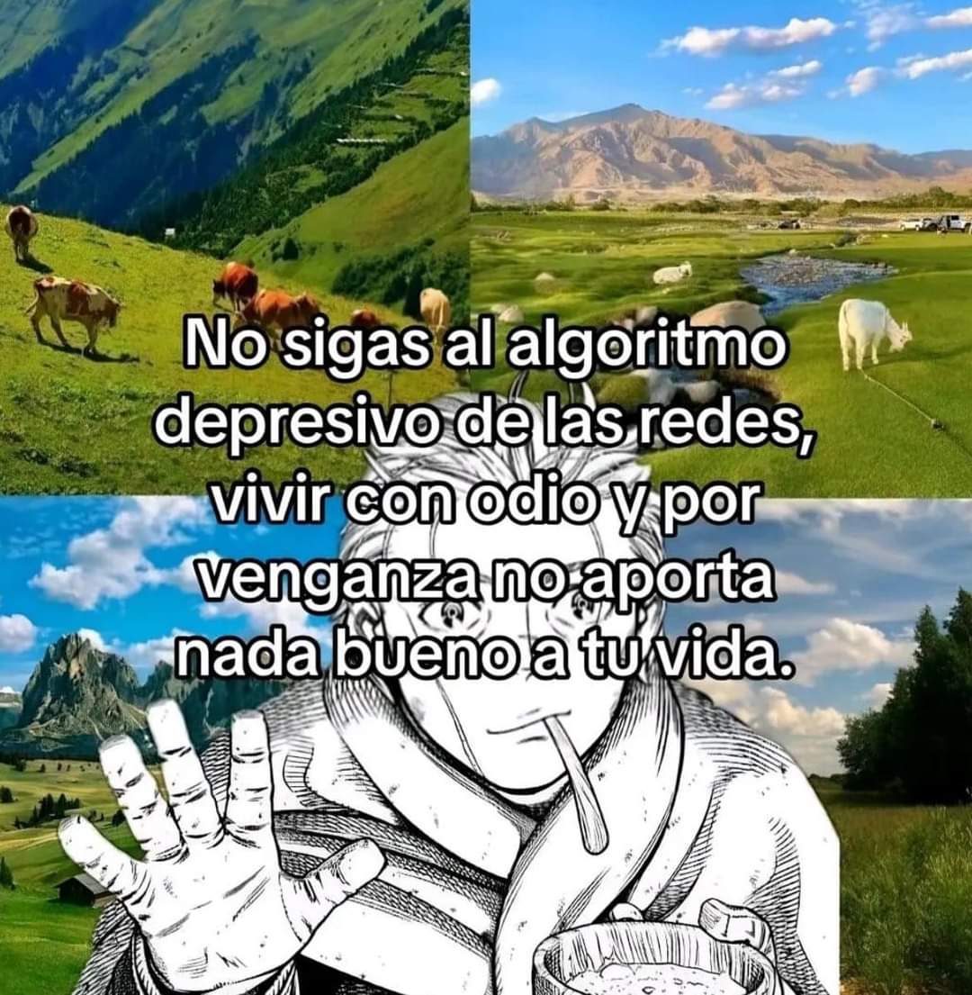 Mega atún (@abellcymeg) on Twitter photo 