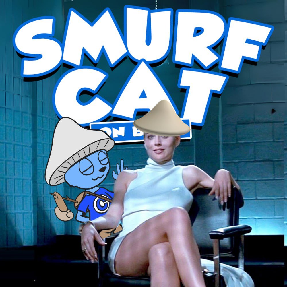 smurfcatbase's tweet photo. $SMURFCAT revealing more... soon... 👀 https://t.co/pOAQg7tp90
