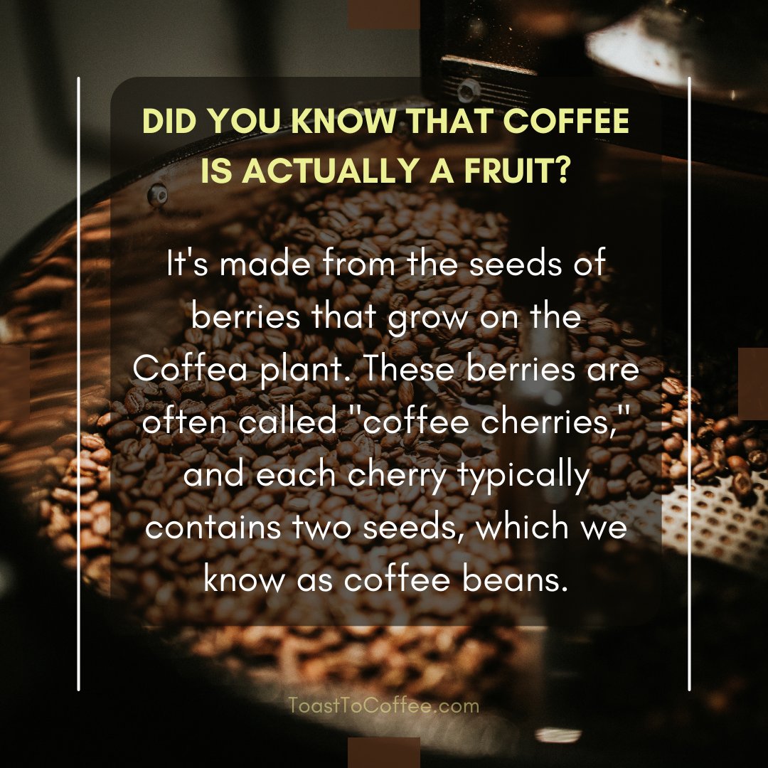 Discover the fruity side of coffee! 🍒 Did you know that coffee beans are actually the seeds of coffee cherries? Each cherry holds the potential for your perfect cup. ☕️🌿
.
.
.
.
#coffeefacts
#fromcherrytocup
#coffeebeans
#coffeelover
#coffeeflavors
#craftcoffee
#coffeeroasters