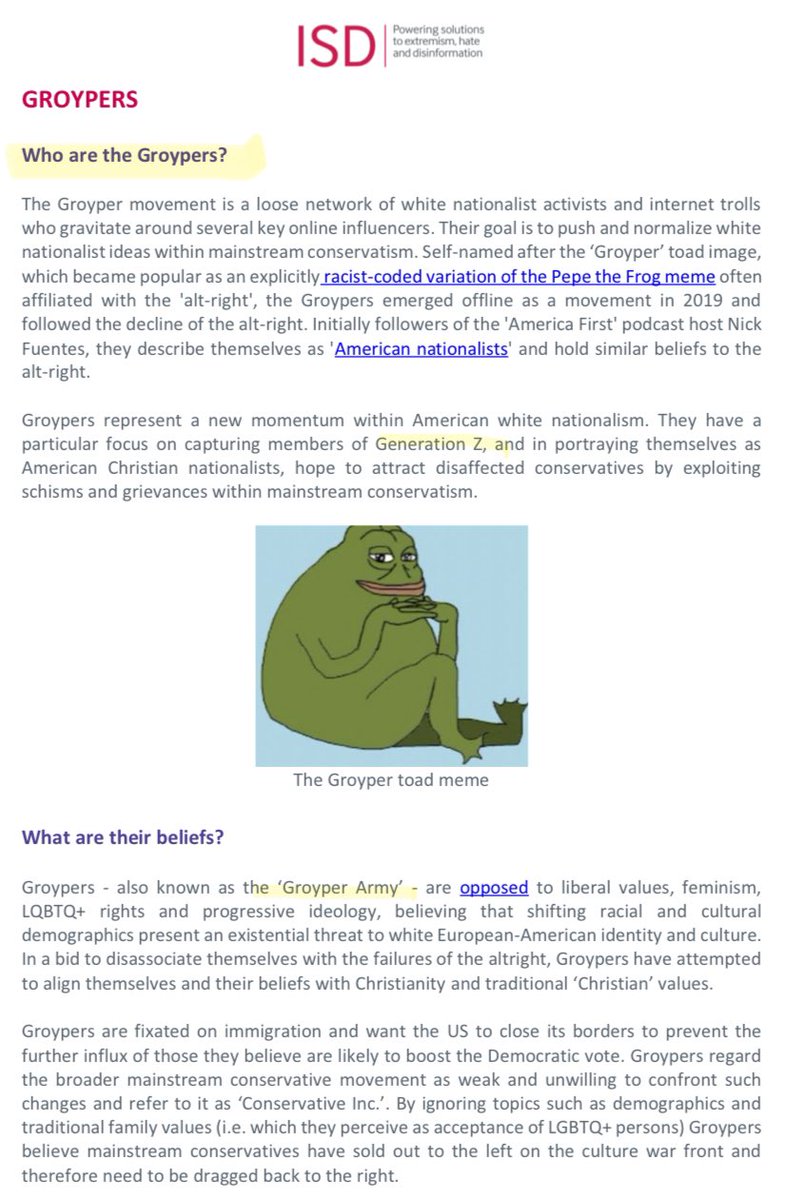 Who and what are the Groypers? @ISDglobal #AmericaFirst 🇺🇸#TurningPointUSA  ⬇️