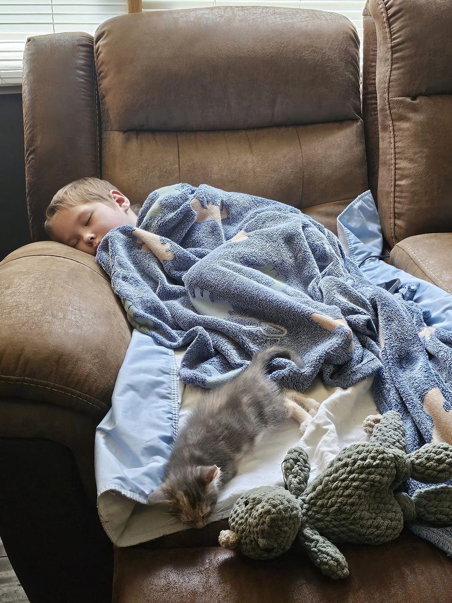 Keep prayers going for Liam. They made it home! ❤️🙏🏼❤️From his mom Jeanette: “Liam is so tired today but was happy to be home. And his kitten couldn't wait to lay with him ♡♡” 🙏🏼✝️🙏🏼