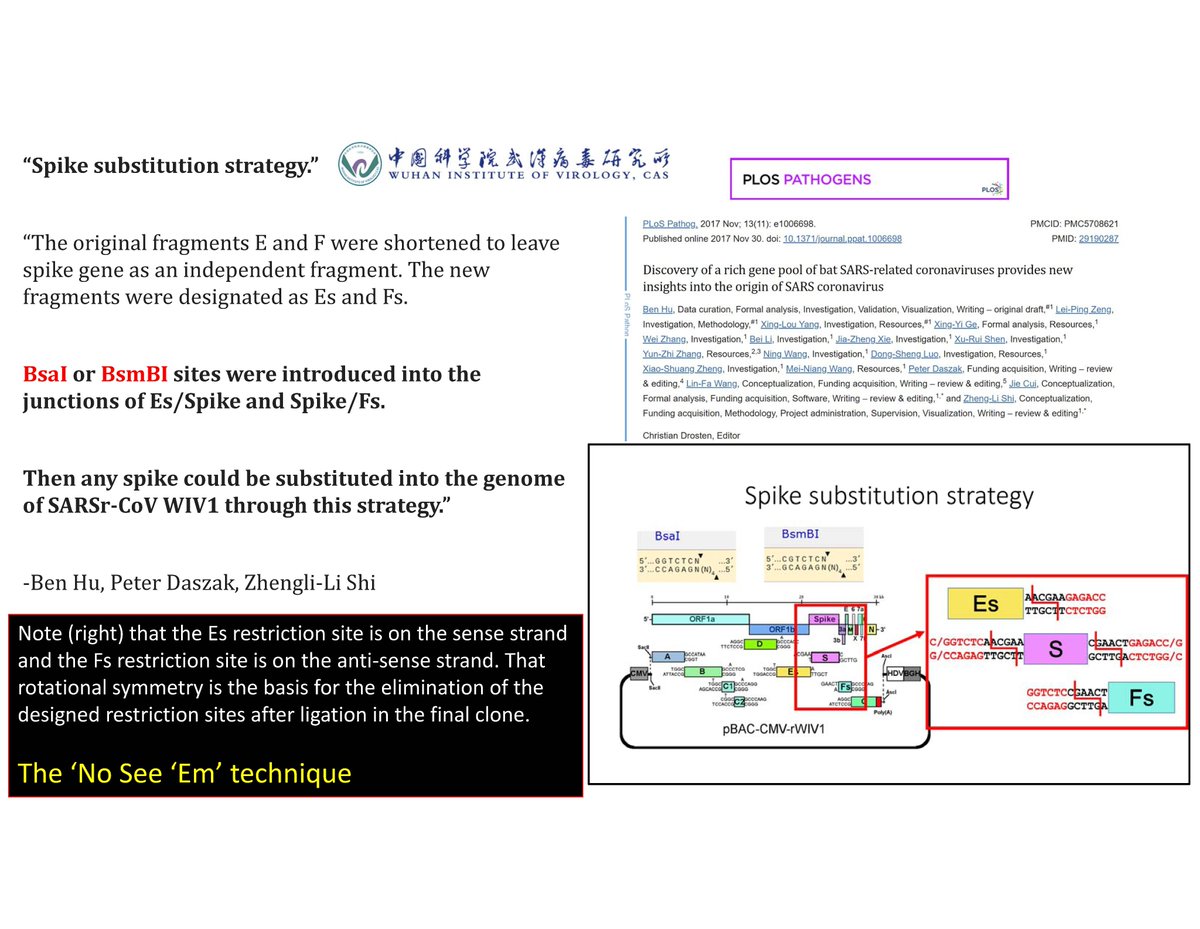 In 2017 Ben Hu & Zhengli-Li Shi of the WIV & Daszak of EcoHealth Alliance used Baric's 'No See 'Em' technique for Gain of function experiments

Christian Drosten reviewed the paper

Any claim the WIV was incapable of this level of synthetic biology is false on its face