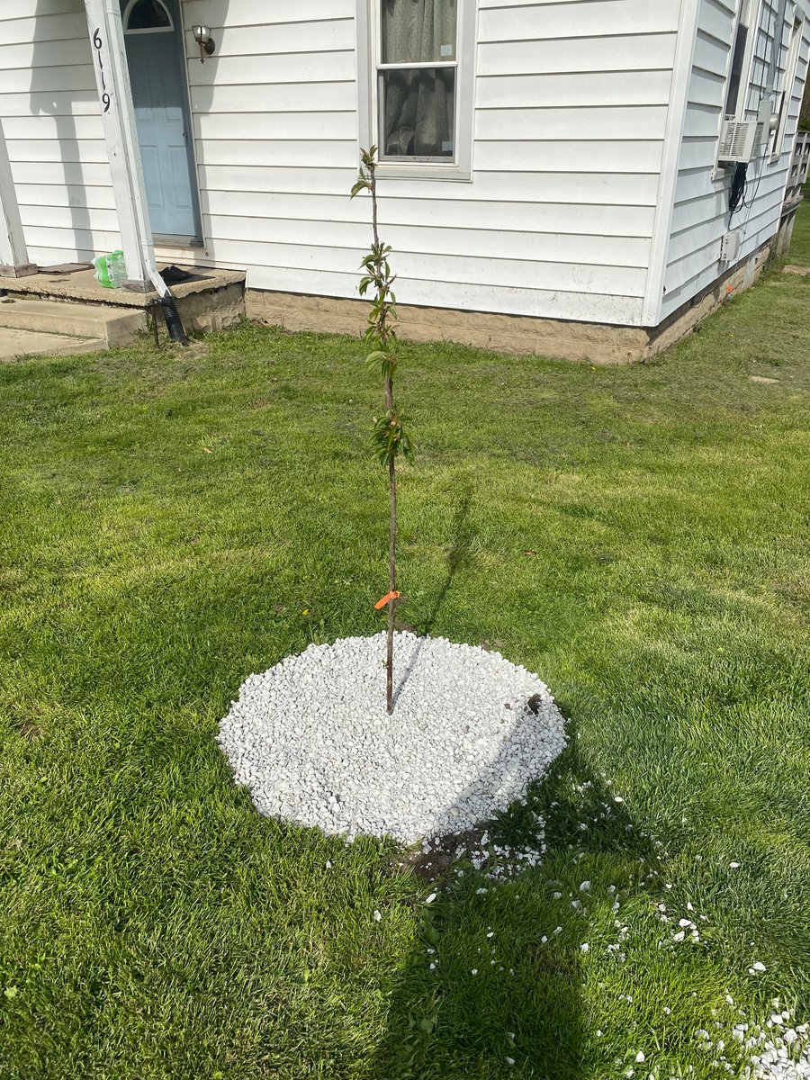 @nanc19246 @TheDustinNemos @IPOT_Official76 Have been for many years. I think you can see the shallow well I installed and some of my fruit trees.
