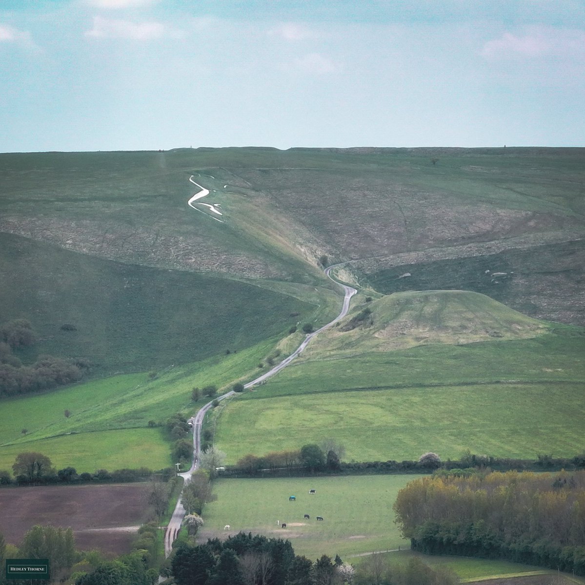 The horse and the dragon. @nationaltrust