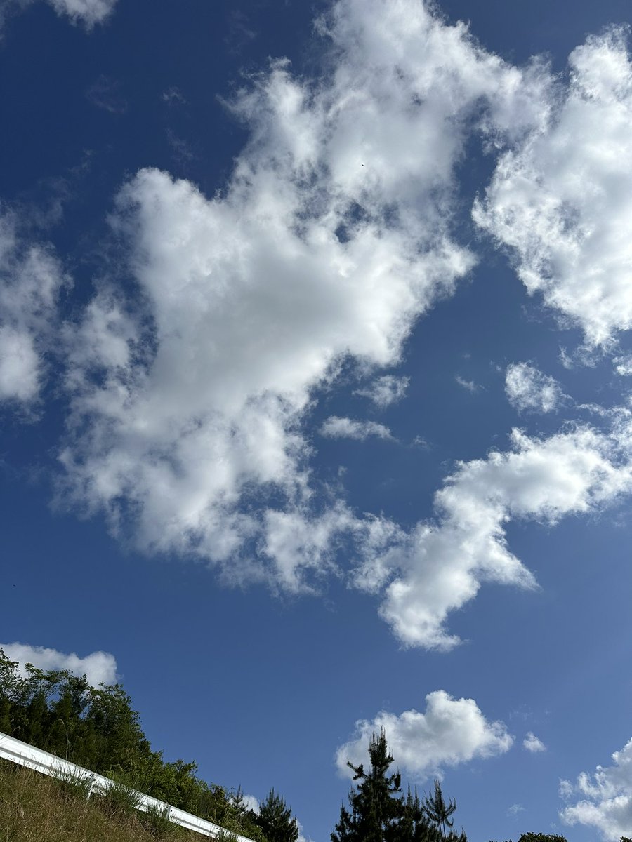 おはようございます☀ 兵庫県豊岡市19℃ とても爽やかな気温🥰 明日から長い連休ですが 気を引き締めて頑張ります‼️ 今日も一日よろしくお願いします🙇‍♀️ #企業公式が毎朝地元の天気を言い合う