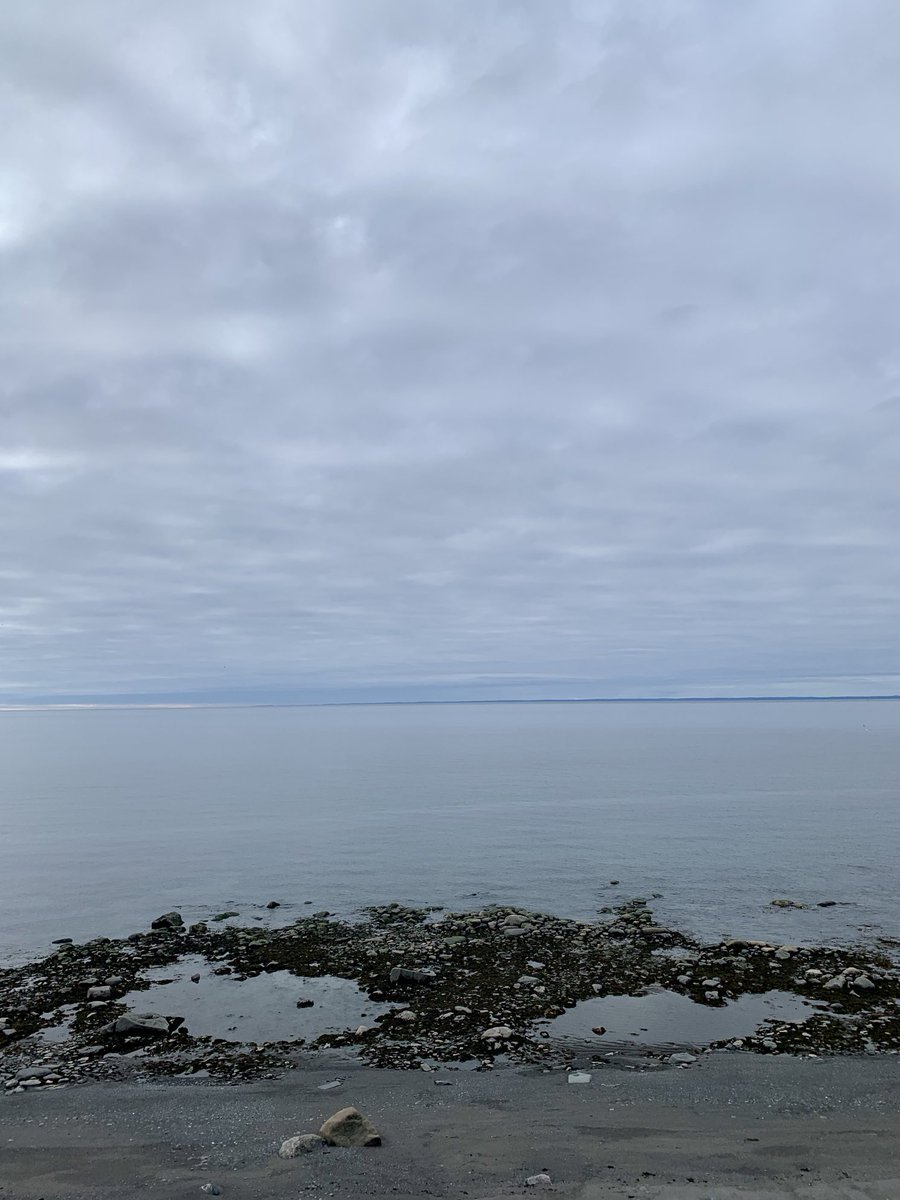 Le fleuve St-Laurent aujourd’hui. #SteFélicité #Matanie #Gaspésie #Québec