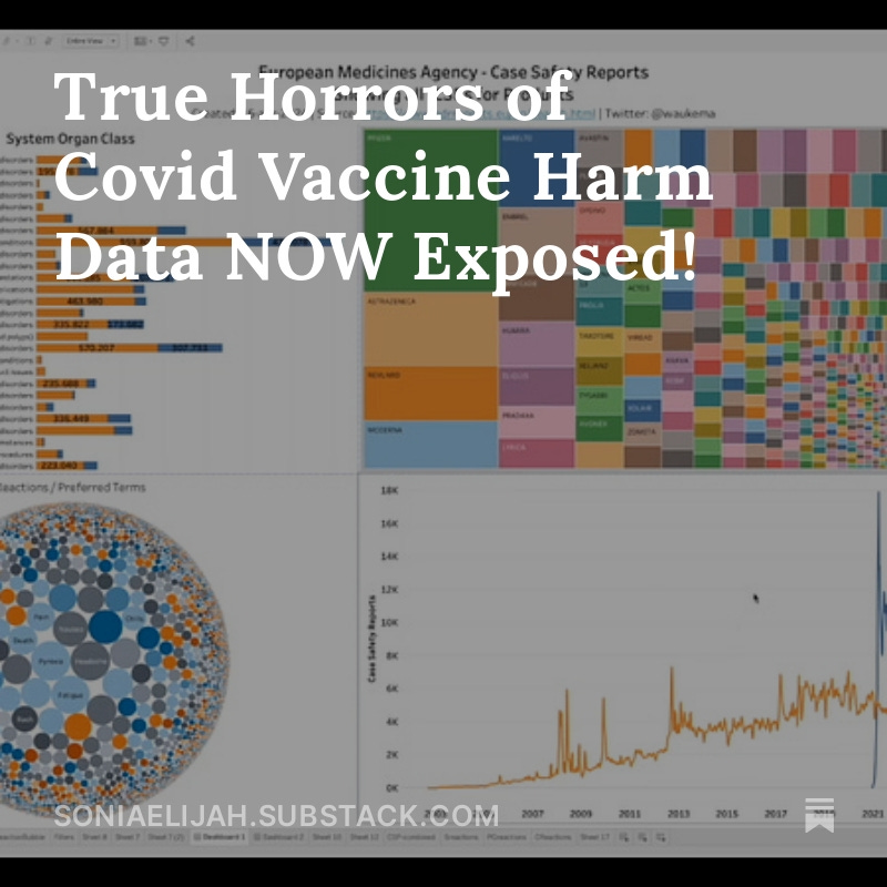 True Horrors of Covid Vaccine Harm Data NOW Exposed! soniaelijah.com A special thanks to @waukema @annemerel_ @ABridgen
