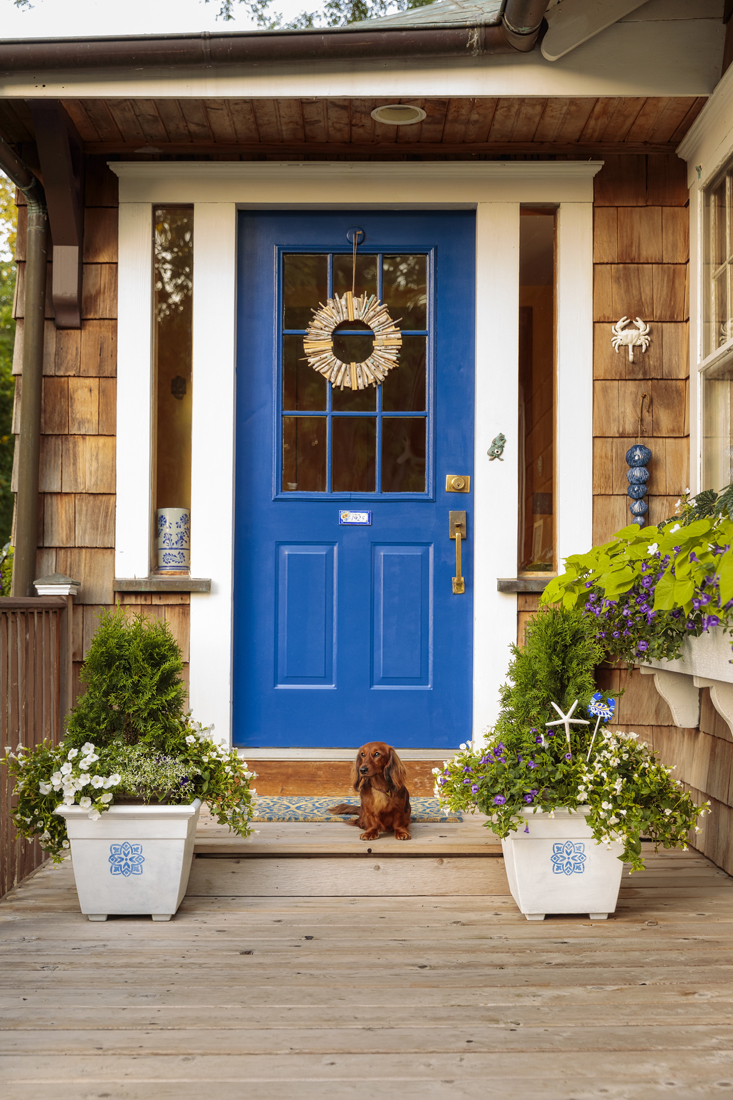 Here's a quick list of 15 ways to decorate your front porch with plants, have you tried any? provenwinners.com/learn/containe… Bonus Tip: Add a cute lil pup! 📷 To get the full benefit of each tip and how to apply them, check out the article from @Proven_Winners