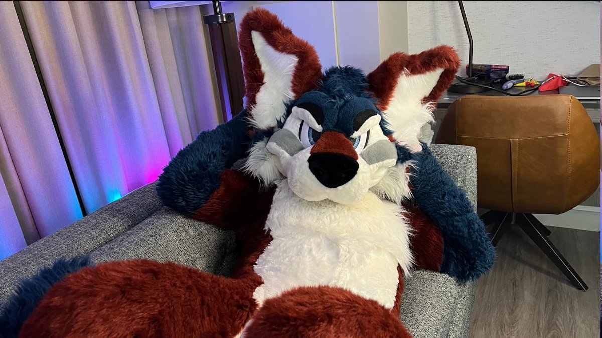 Netflix and chill? >:3 📸: @Dingorooz