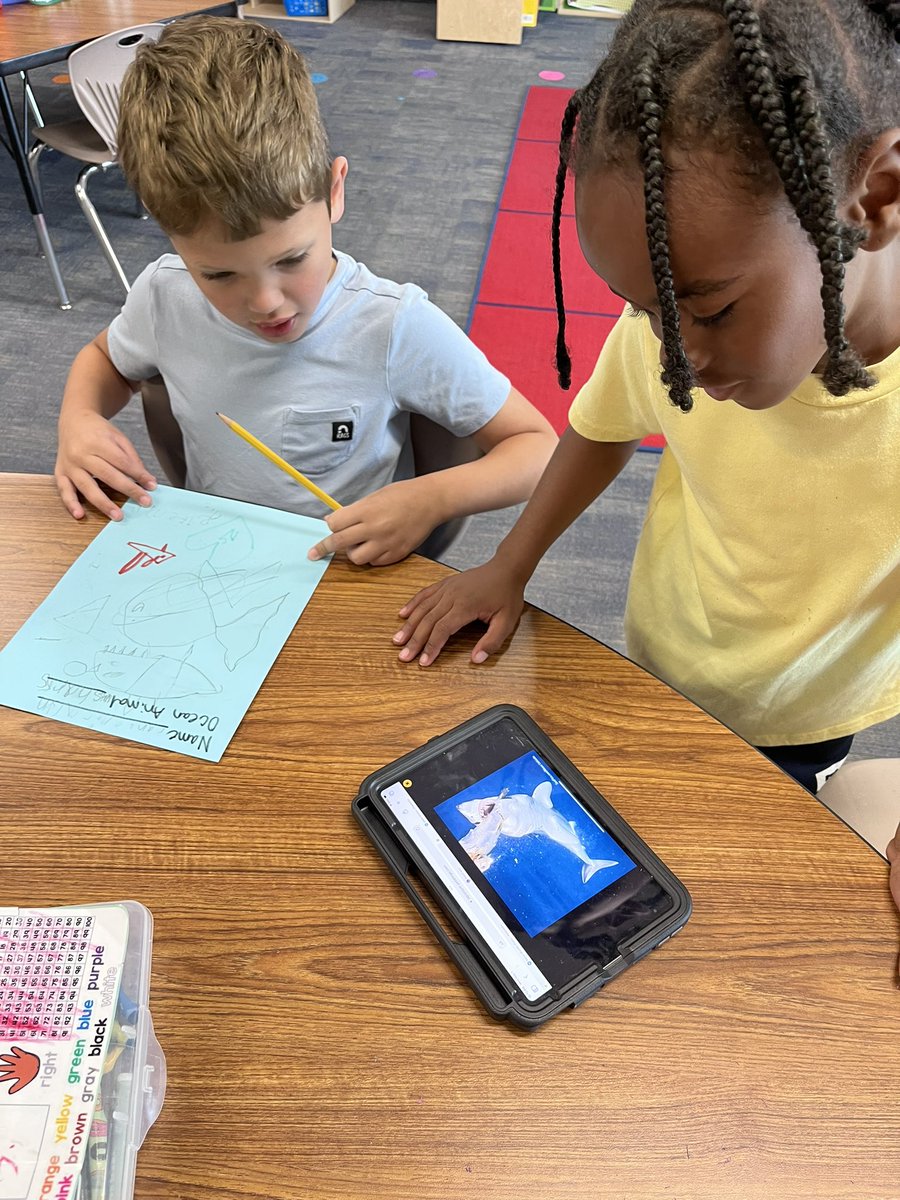 Our Ocean Animal research projects are off to a good start with such focused learners! 🌊 🐬 🦈 #bengalpride