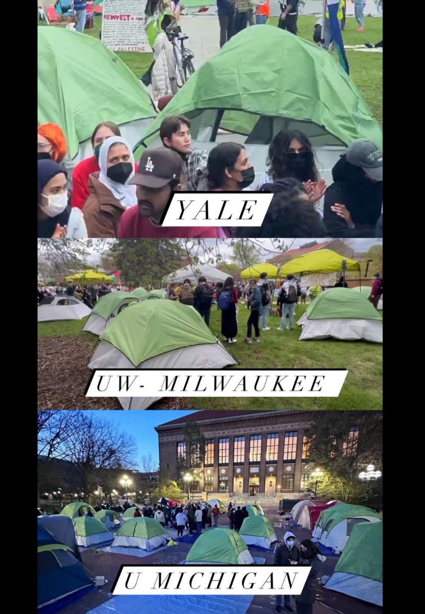 @RealJamesWoods ...also, somehow protesters across multiple states and campuses all coordinated on the exact same model of tents! ⛺️ 🤔

That's some pretty impressive logistics for a bunch of broke college kids!