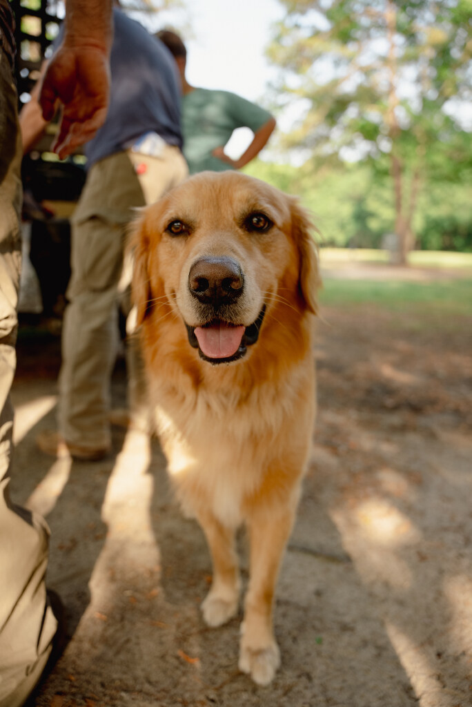 #heatsafetyweek tips for your pets 🐕

🐶 Always have water on hand
🐶 Know the symptoms of overheating
🐶 Never leave pets in a parked car!
🐶 Brush & trim your dog's fur, but don't shave them. Their coats protect them from overheating
🐶 Don't let pets linger on hot asphalt