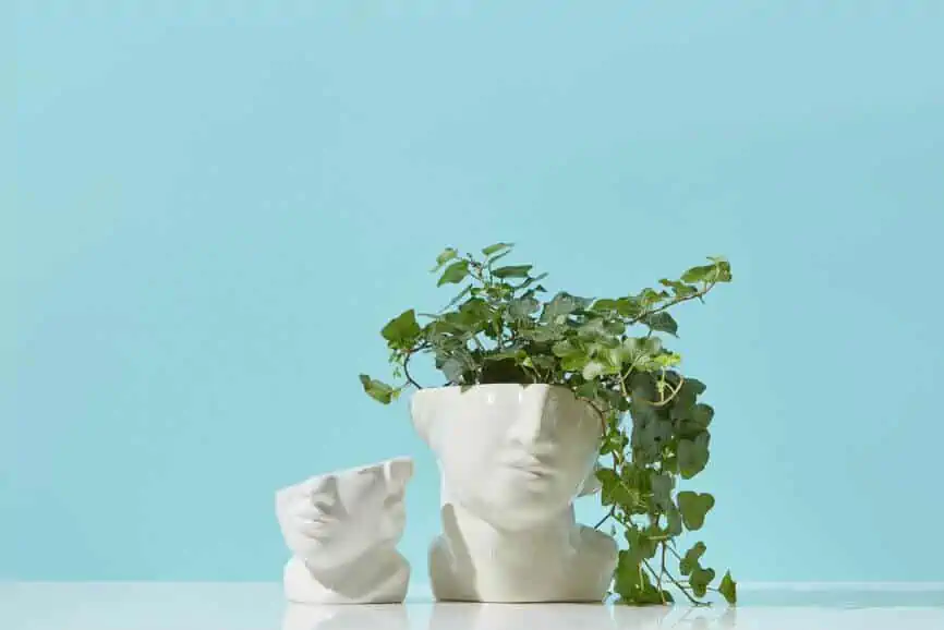 7 Taurus New Moon Rituals That Are Sensual and Steadying dlvr.it/T6HhjP