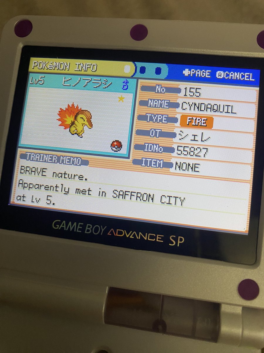 Shiny Cyndaquil after 10950 eggs hatched across 14 copies of gen 3 games! A day late for #eggmonth but still super stoked to get this, always a hunt I wanted to do and to have it done is unreal 💫 Onto the other 2 😅