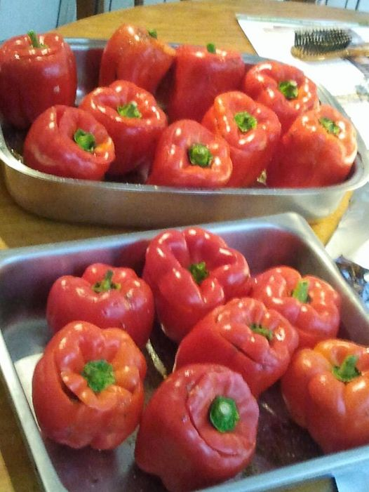 More Food Haiku: Some stuffed capsicums, With hairbrush in the corner, Photobomb surprise! .