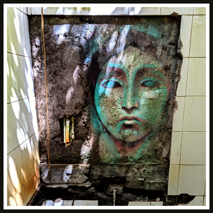 Bathroom buddy.

#Jungle #BathroomBuddy #BathroomsOfTheWorld #Urbex #UrbanArtAbandoned #GraffitiArt #Graffiti #AbandonedPlaces