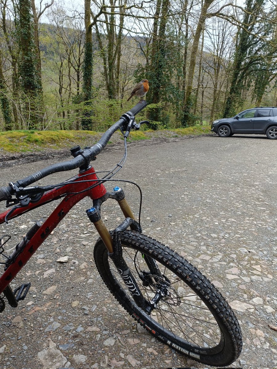 tokesurf76's tweet image. A few from today's ride at #Brechfa. A run out for the HT and some new 4 pots...@Absolutemtb1