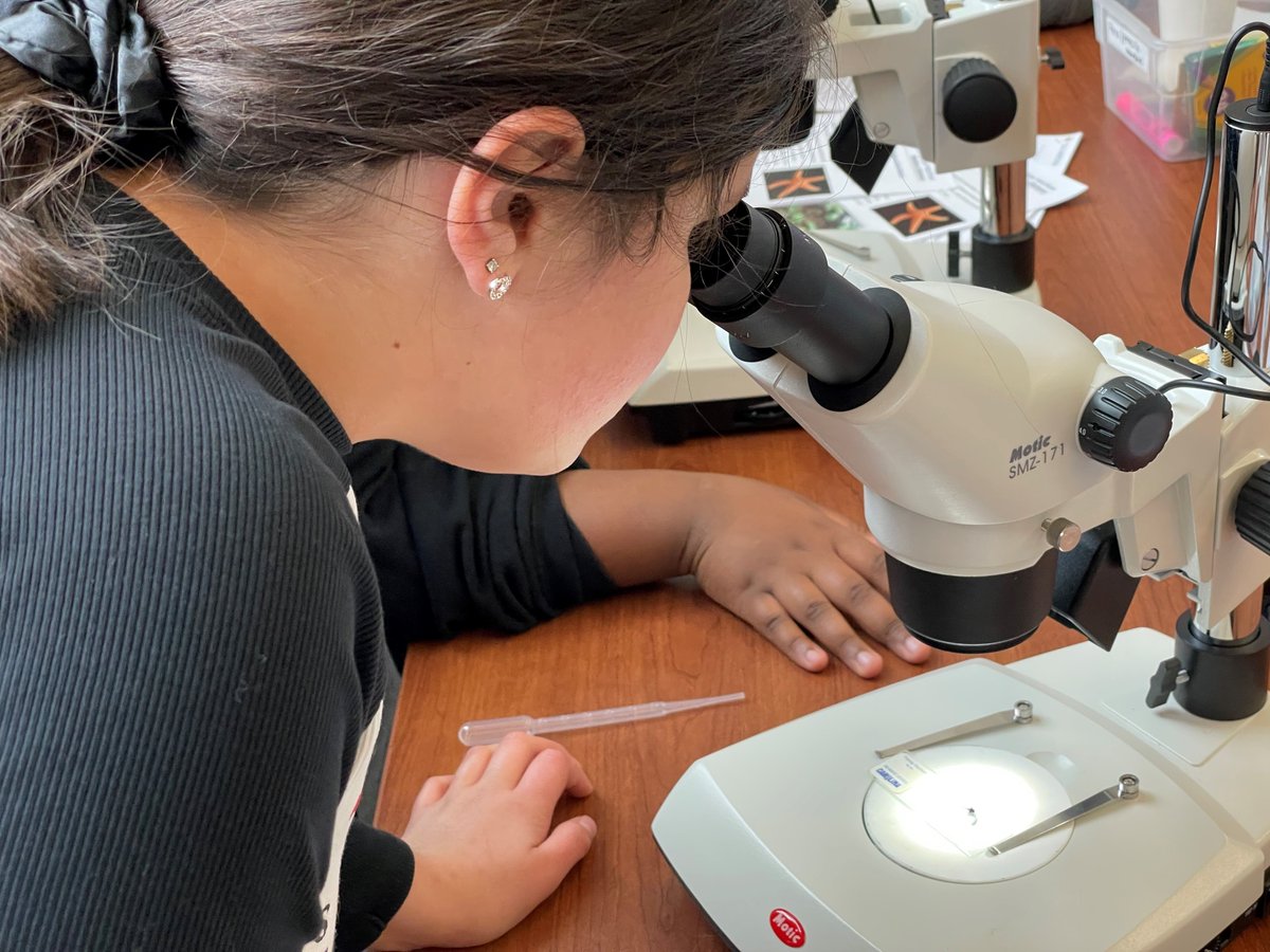 Cal Maritime's oceanography program and Community Engaged Learning Center collaborated to have budding ocean enthusiasts from Grace Patterson Elementary School in Vallejo embark on an exciting educational field trip at #CalMaritime!⚓️🌎⚙️🌊 📰 Read more: csum.edu/campus-news/20…