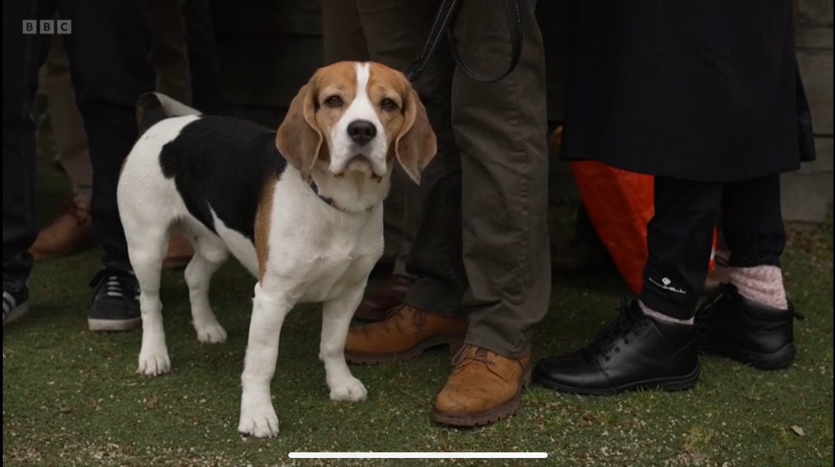 Thank you to all who have helped us in our positive & uplifting London campaign. It’s been a joy (plus some cute dogs at rallies!) We can make a massive difference in London because of the values we represent. So please #VoteLibDem and let’s elect a fantastic team in City Hall.