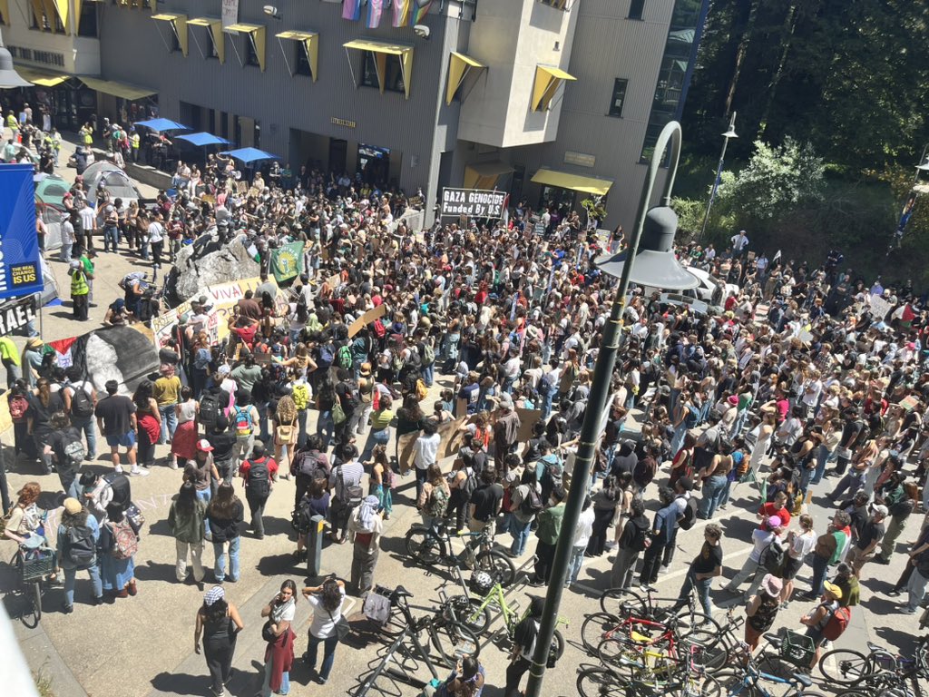 UCSC walks out for Gaza!