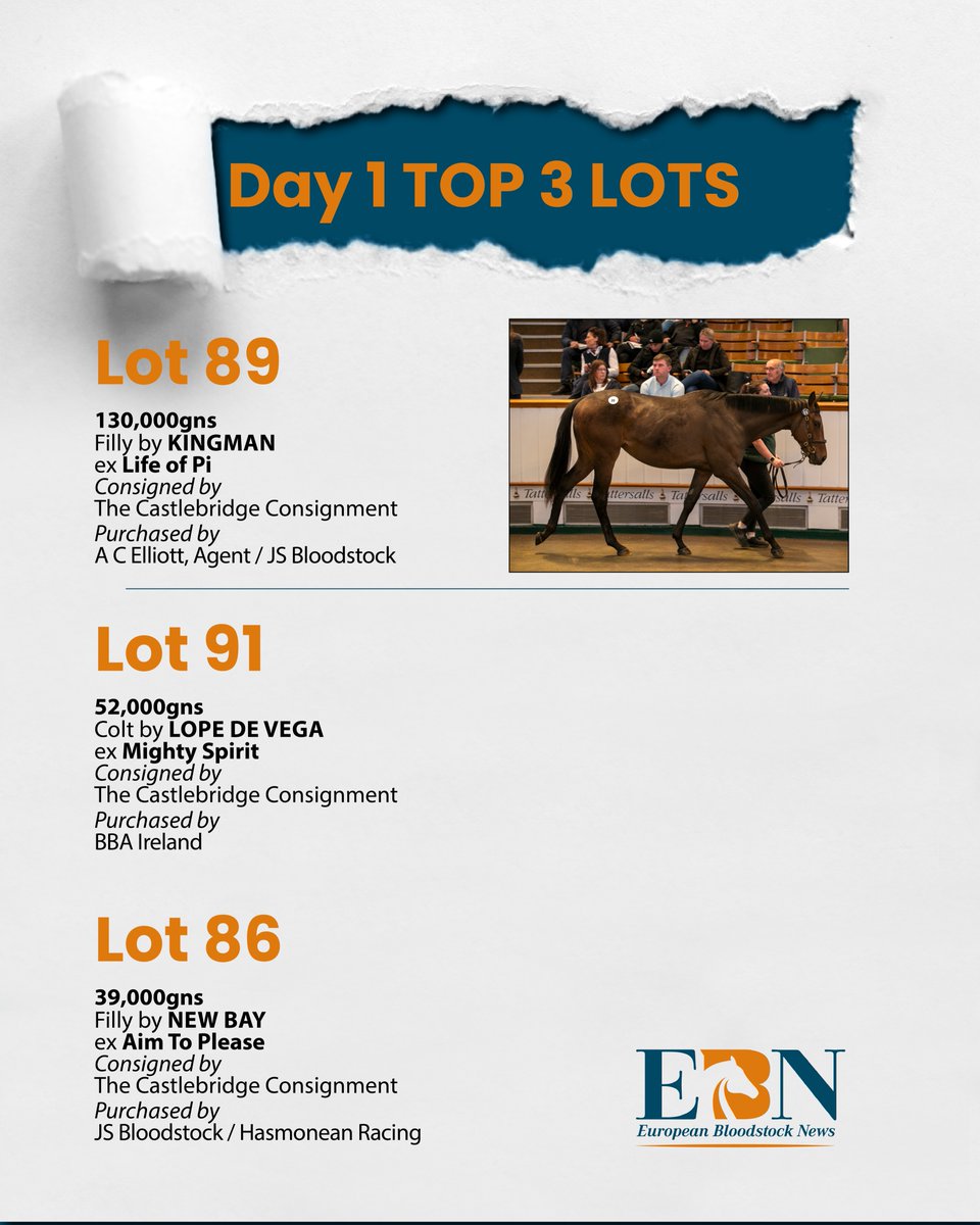 🔶 At the end of Day 1 of the @Tattersalls1766 Guineas HIT Sale the Top Lots so far are... 👇 💥 Lot 89 - filly by @JuddmonteFarms' KINGMAN was consigned by @TheCastlebridge and sold to @A_C_Elliott / @JSBLOODSTOCK for 130,000gns. A successful day for @TheCastlebridge team 💪