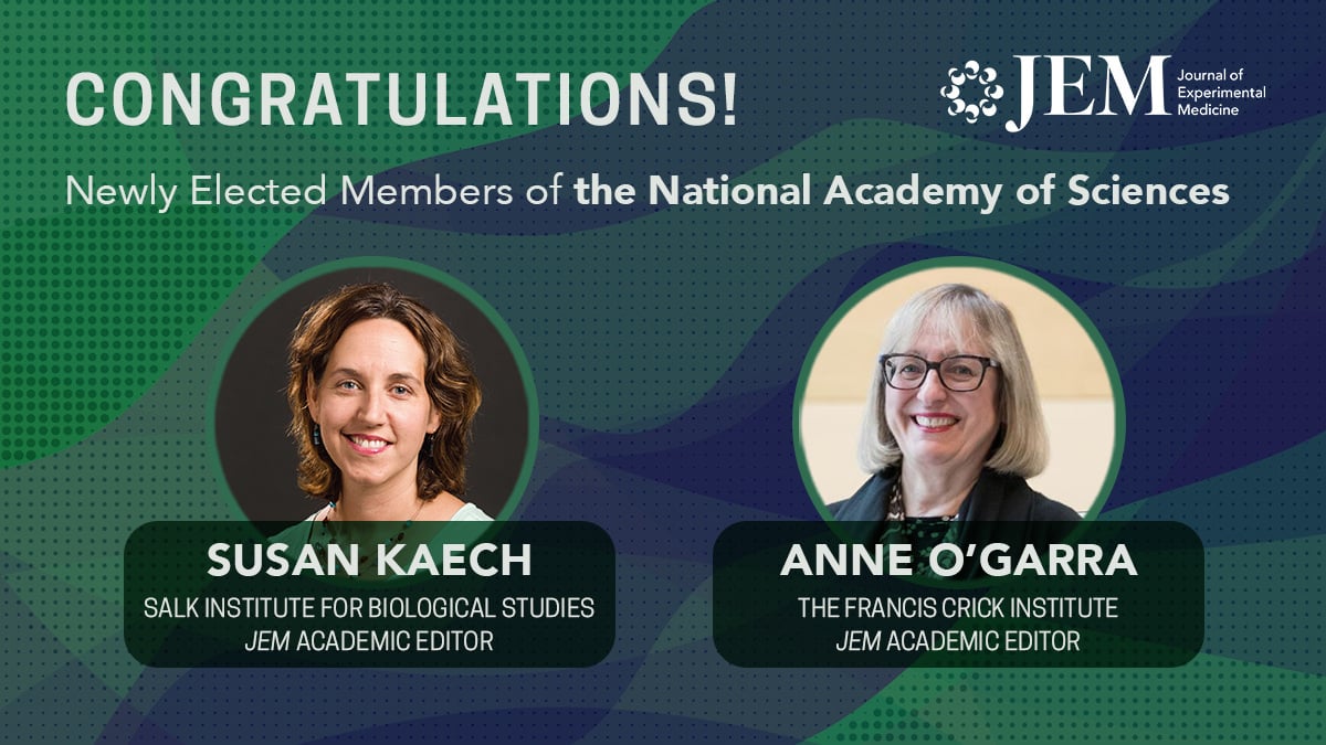 Exciting news! @JExpMed's Academic Editors Susan Kaech (@Tcellogic) @salkinstitute and Anne O'Garra @TheCrick have been elected to the National Academy of Sciences @theNASciences! Congratulations on their achievements 🎉 hubs.la/Q02vMDvW0
