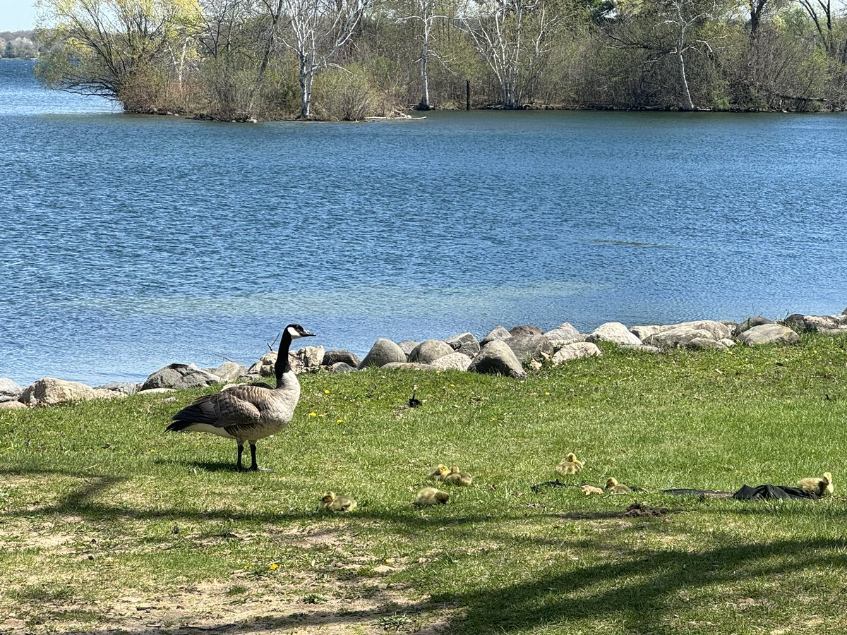 So privileged to be back at the @WisMathCouncil Conference in Green Lake. Absolutely beautiful setting, lots of wonderful sessions, and amazing people!!! My session today was on problem solving and tomorrow is fluency! So grateful!