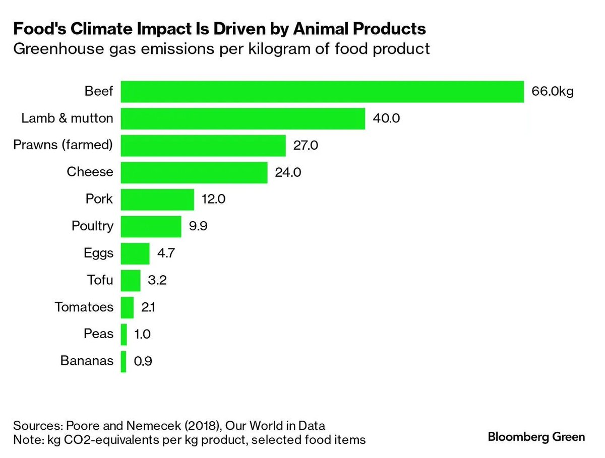 Food's #climate impact is driven by animal products - #sustainablility #climatechange @technicitymag @gvalan @DrFerdowsi @junjudapi @enricomolinari @avrohomg @kuriharan @fogle_shane @JolaBurnett @techpearce2 @drhiot @JohnMaynardCPA @mary_gambara @stanleychen0402 @pdpsingha