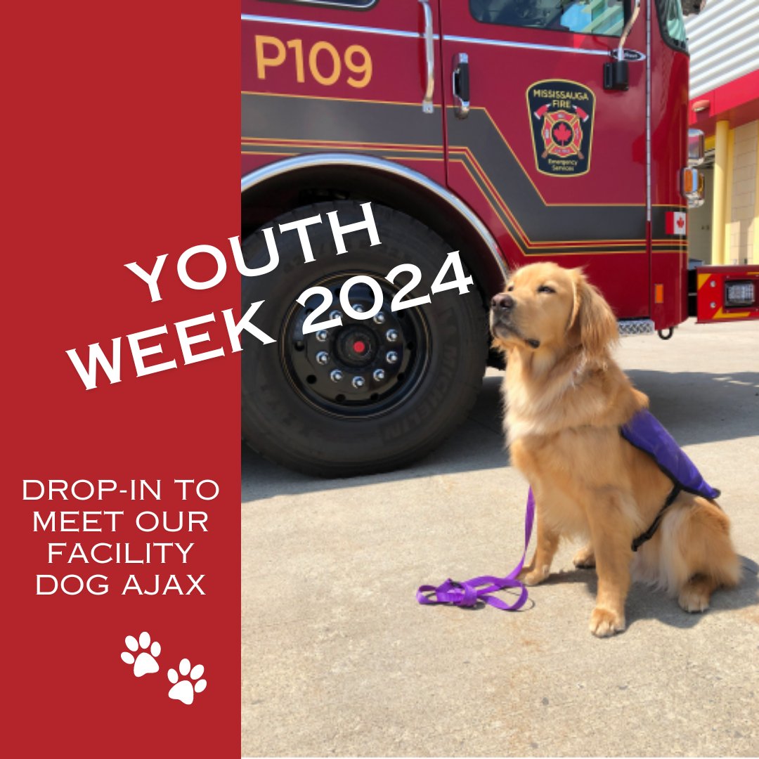 Calling all youths aged 15 to 24! Step into a world of pawsitivity at Mississauga Valley Community Centre tomorrow from 3:15 to 4:15 pm. Meet our Facility Dog Ajax & learn how he helps to build our resilience day in and day out. Registration not required. #YouthWeek2024 #Woof