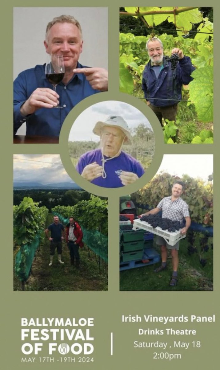 Irish Vineyards - past, present & future. Sat 18th May 2pm. Panel talk & tasting w/ @Wilsononwine Irish Vineyards attending: Thomas Walk, Kinsale; David Llewellyn, Lusk; David Dennison, Waterford; Philip Little/Sean Kerin, Kilkenny; Alex & Daria Blackwell, Westport - link in bio