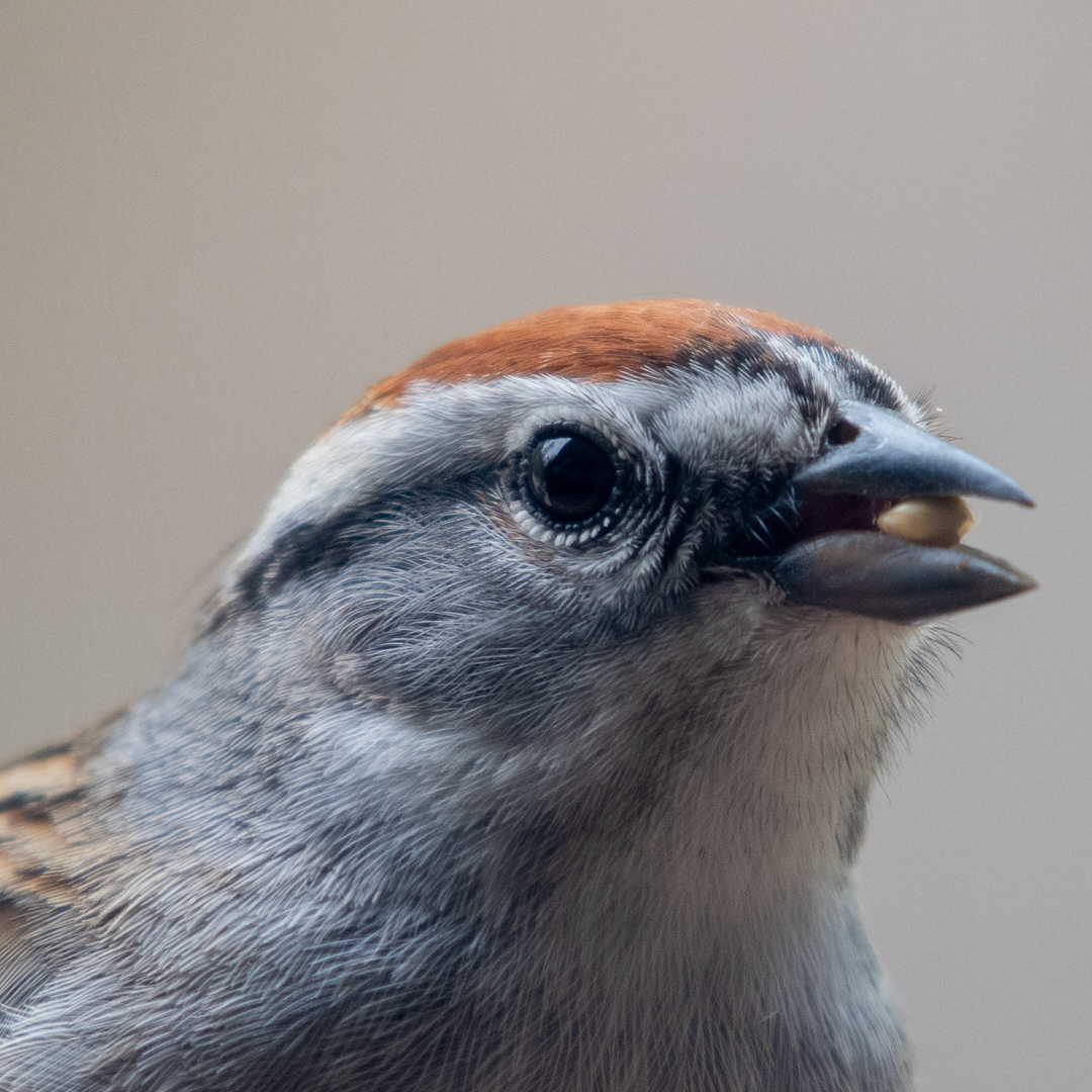 digitalturtle_'s tweet image. 