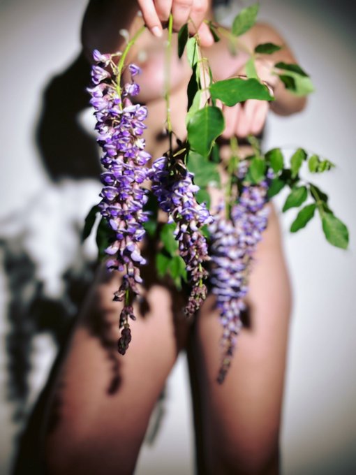 Mesmerizing Blooms 💜 https://t.co/AB8oyozMtt<a href="/tag/realloyalfans"class="tags"><span>#realloyalfans</span></a>