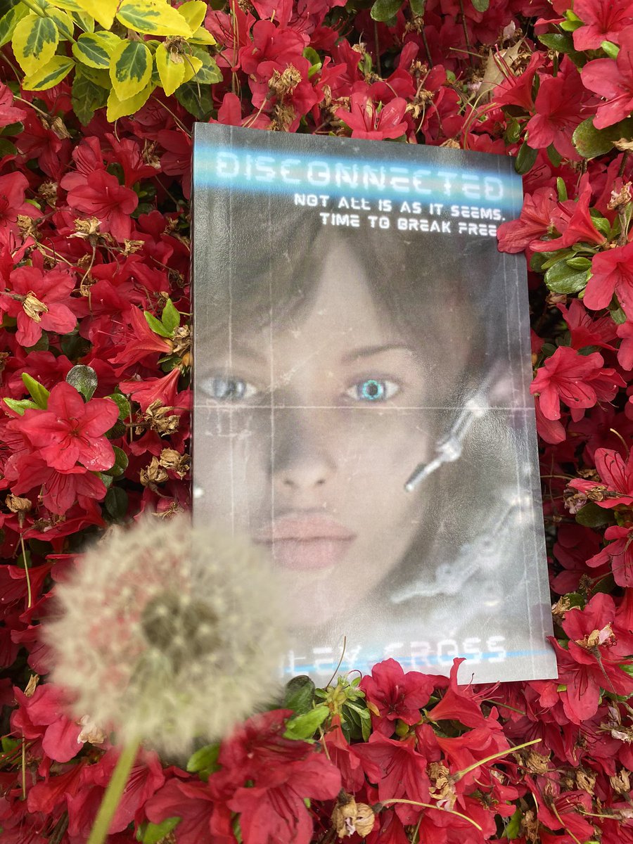 Posting is a lot like blowing the seeds of a dandelion and watching them drift away. My daughter calls them “wish flowers.” So wherever this post floats, I hope it reminds writers that sending your words out into the void means they will land where they are meant to thrive.