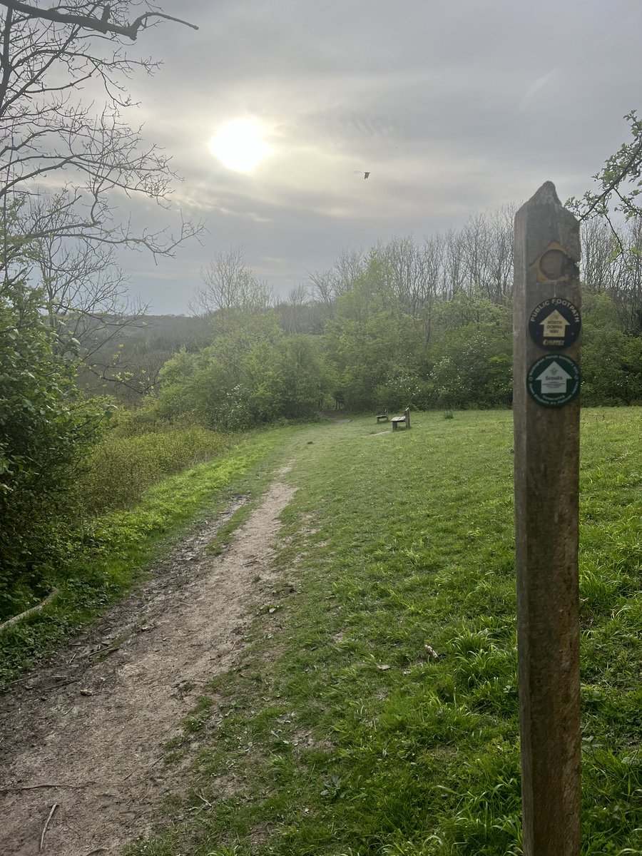Good evening from the #NorthDownsWay