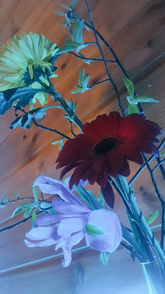 #Cetaganda2024 прошла красиво и закончилась очень трагично и больно для этого недостойного гема.

Слова, написанные другу накануне оказались пророчеством:
Не избежать и придется 
Завтра принять эту данность - 
Выбор фортуны

Осталась лишь тишина.