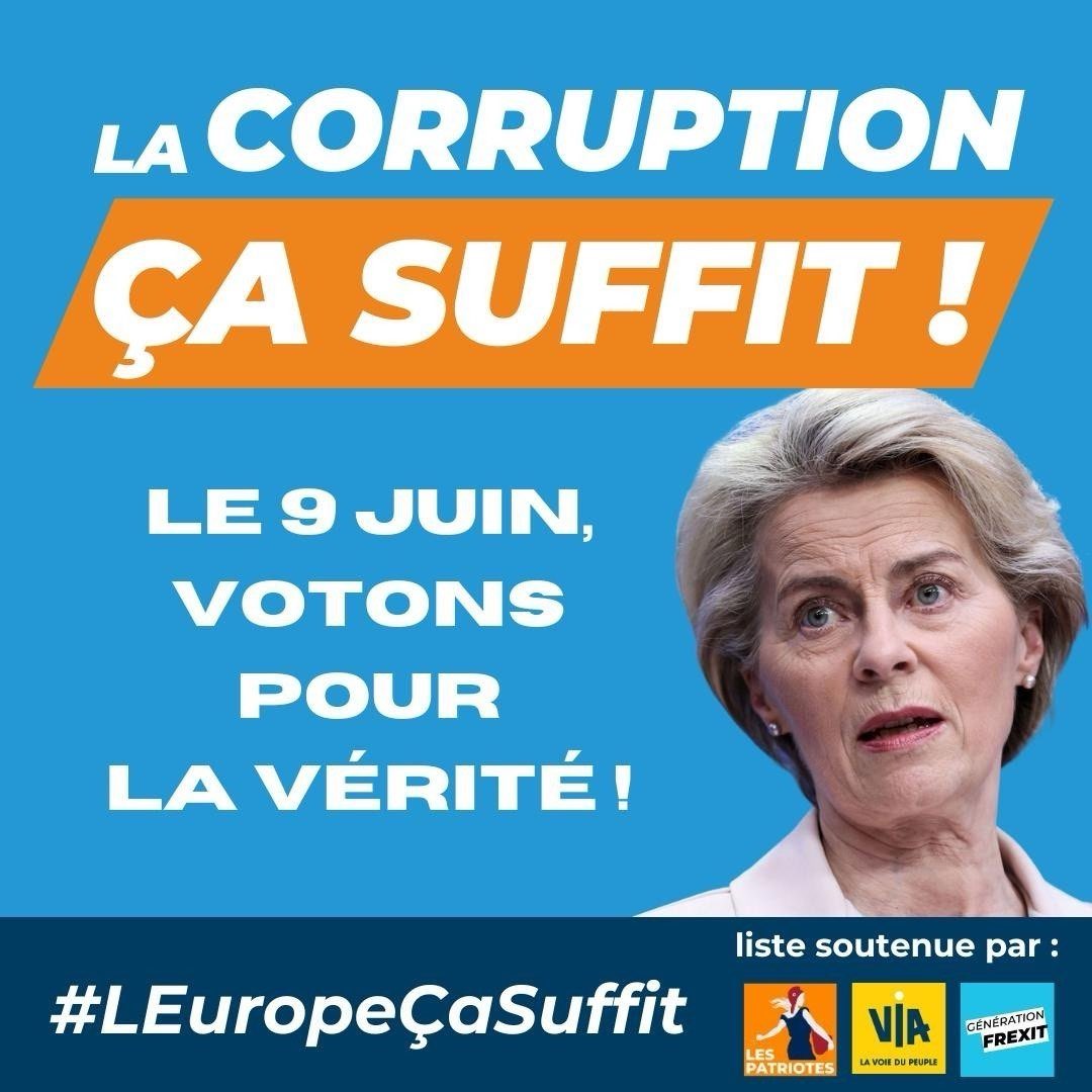 Parmi les partis candidats #Europeennnes2024 deux alertent sur les corruptions au sein de la Commission européenne non élue, anti-démocratique : @VIA_off @jfpoisson78 @_LesPatriotes @f_philippot . C'est une des raisons de leur coalition #LEuropeCaSuffit.