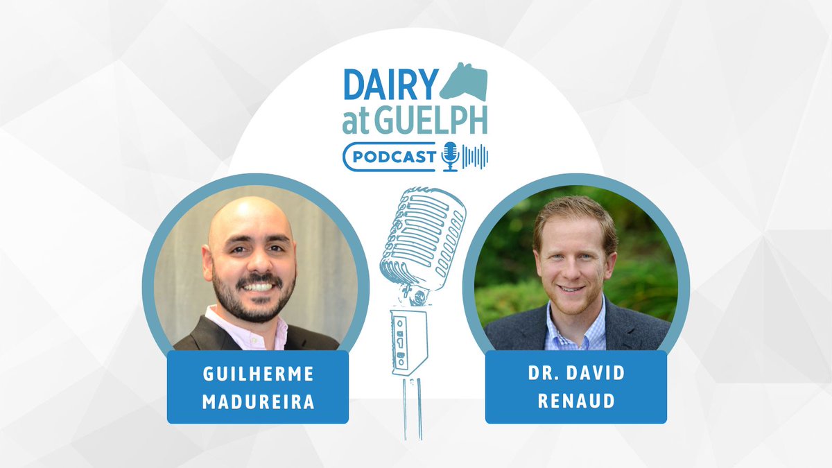 The next episode of the Dairy at Guelph Podcast is here! We talk with Dr. Dave Renaud (@DavRenaud) about risk factors and management strategies to improve calf health and welfare. Listen in: dairyatguelph.ca/news/podcast/