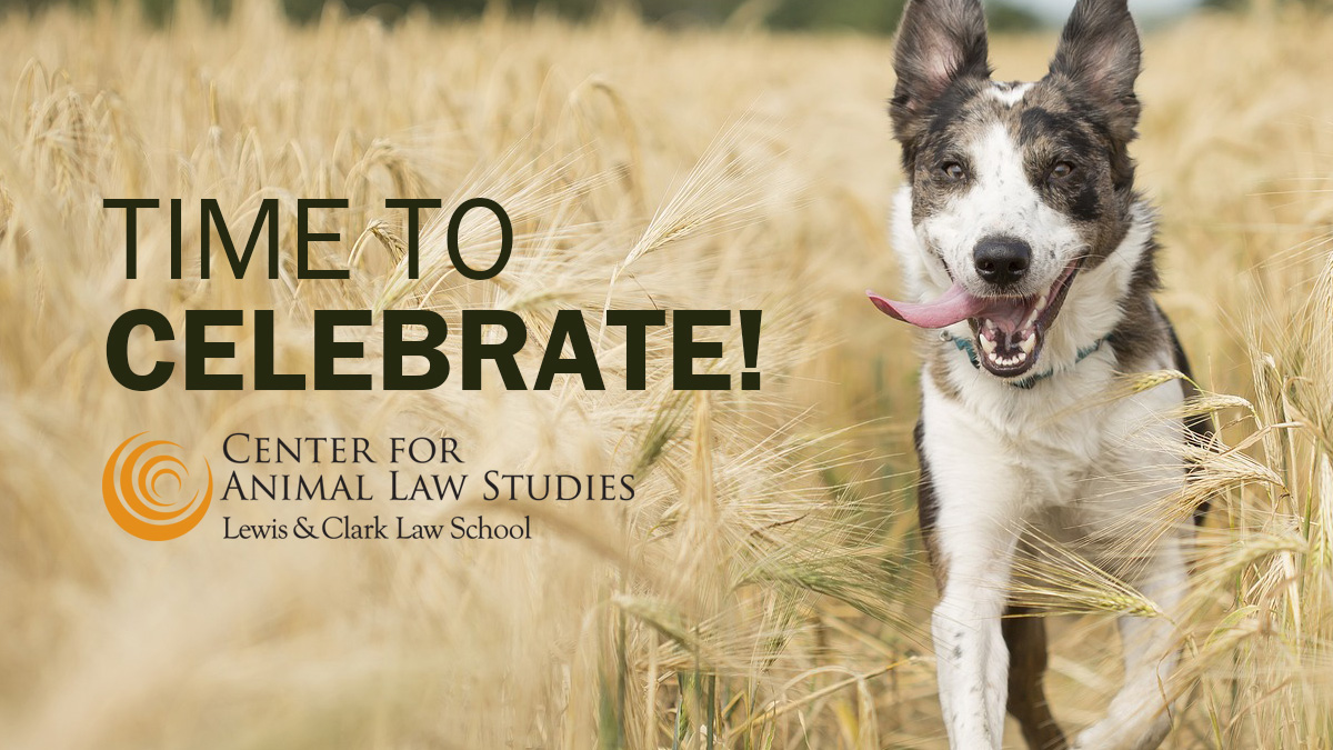 Whoo-hoo! 🥳Final exams are over at @lclarklaw, and our hard working students are celebrating the official end to the semester. Congrats! We're looking forward to celebrating our animal law JD and advanced degree candidates at graduation on May 18th: law.lclark.edu/commencement/