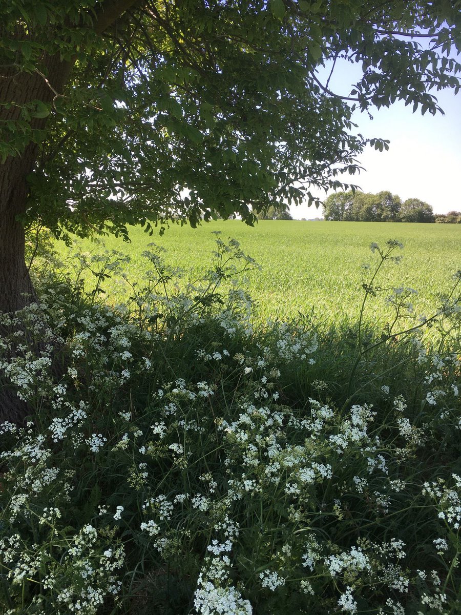 Spring is here 🌱