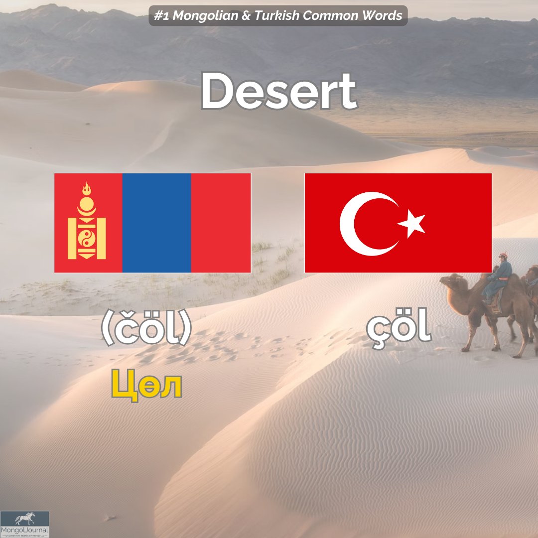 MongolJournal's tweet image. #1 Common Mongolian-Turkish Words

Personally, I have always been fascinated by how many common words we have between Turkish and Mongolian.

#mongolia #commonwords #turkish #mongolian #mongolia #turkey #türkiye #монгол #moğolistan #türkçe #desert #languagelearning