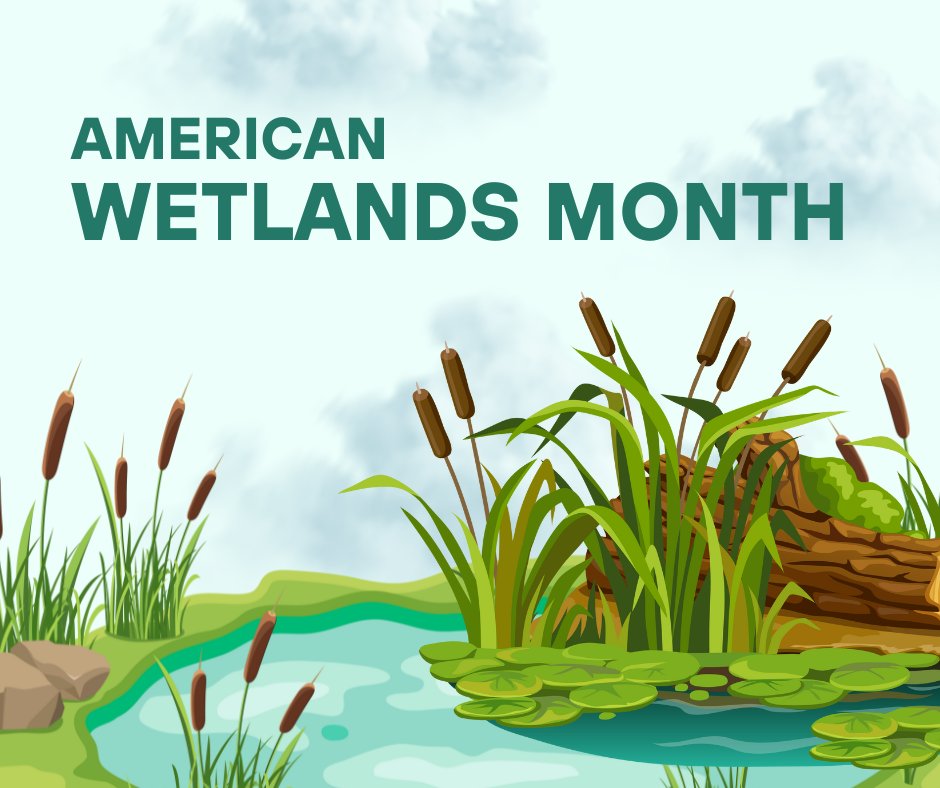 Happy #AmericanWetlandsMonth! 💧 Wetlands are vital for biodiversity and essential for our ecosystem. Check out @EPAwater for insights on their significant role: bit.ly/3y3feht
