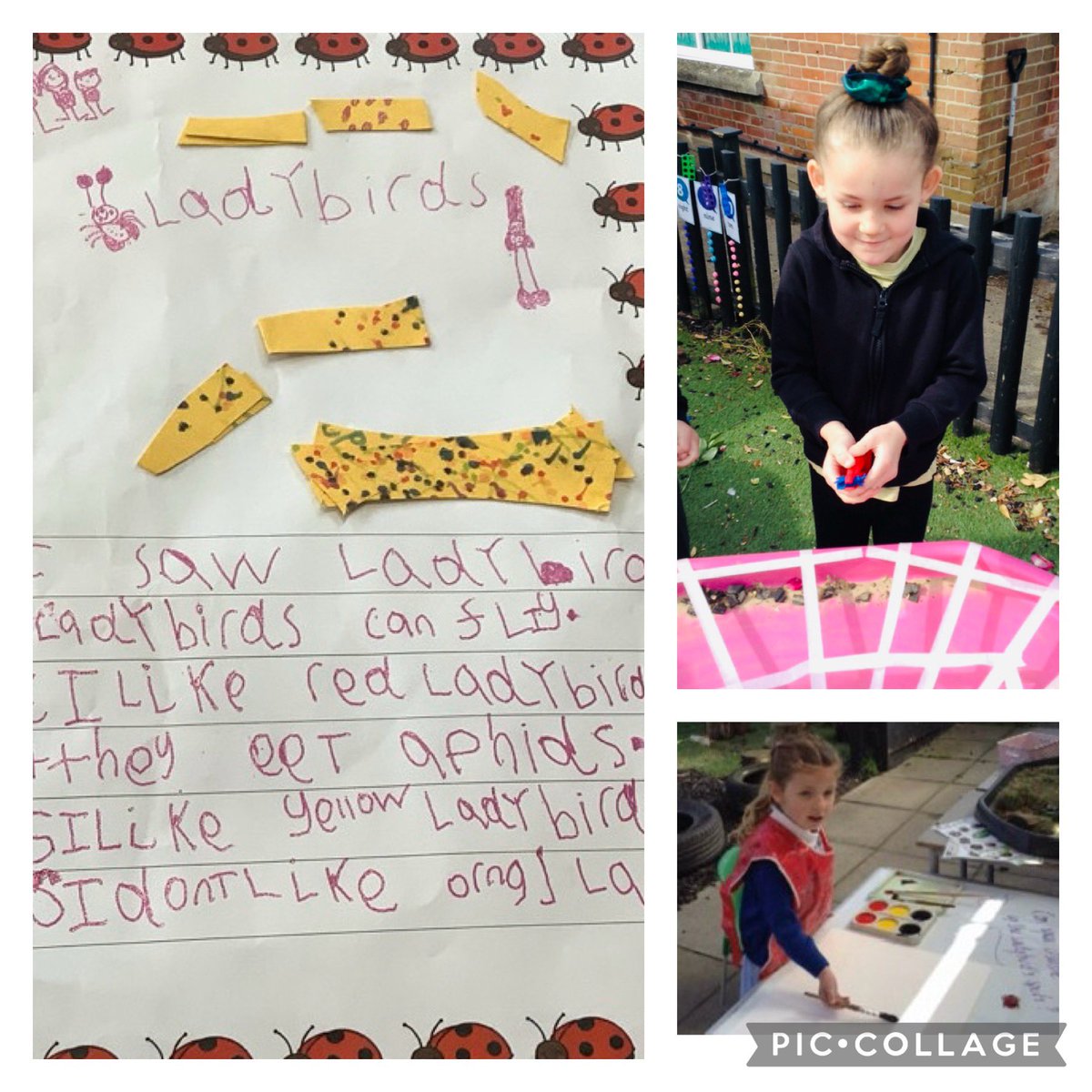 🦎 🐜 🐞 How would you free the mini beasts caught in Wizard Lizards sticky web?! Oak Class had lots of ideas! And the ladybird theme spilled over into their wonderful writing and fab art creations 🐞 #boundlesscreativity