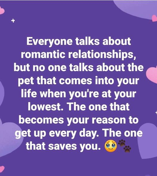 woofknight's tweet image. 